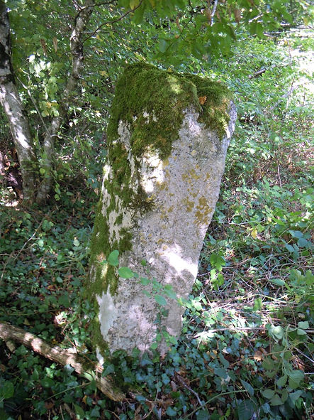 Cromlech du barrois15.jpg
