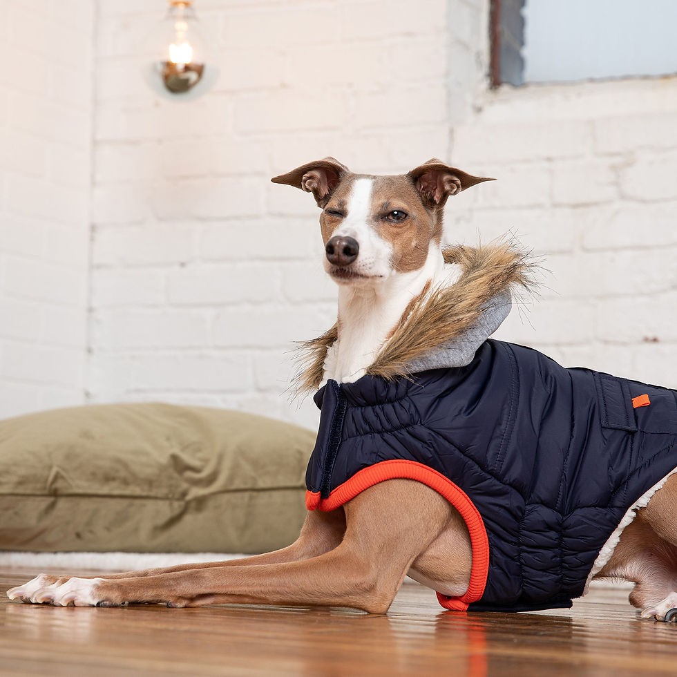 Thumbnail: Winter Sailor Parka - Navy