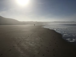 Rhossili Footprints
