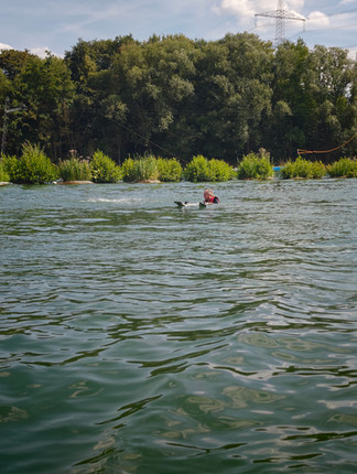 DEINZER MITARBEITER AUF DEM WASSER MIT WASSER SKI