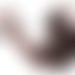 19.코코아의 테일스