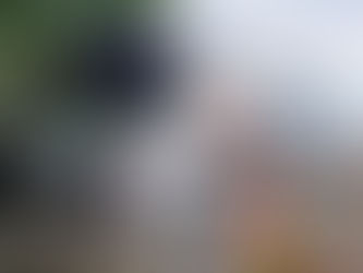 Seawind1370 Mast CrackRepair