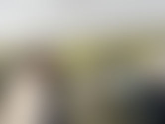 What the hell am I doing?