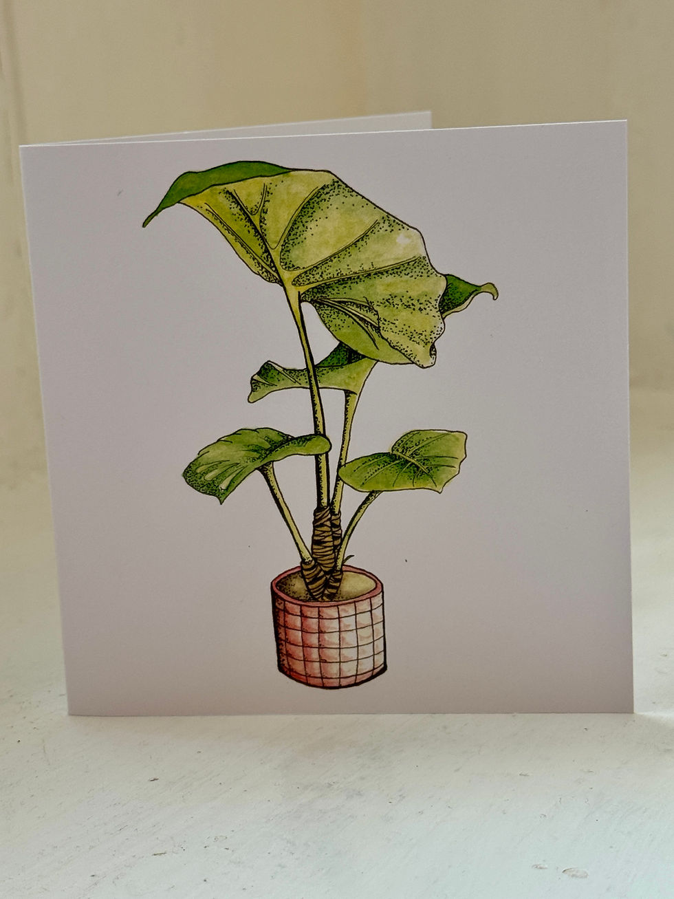 Thumbnail: painting of a green plant on a white square card