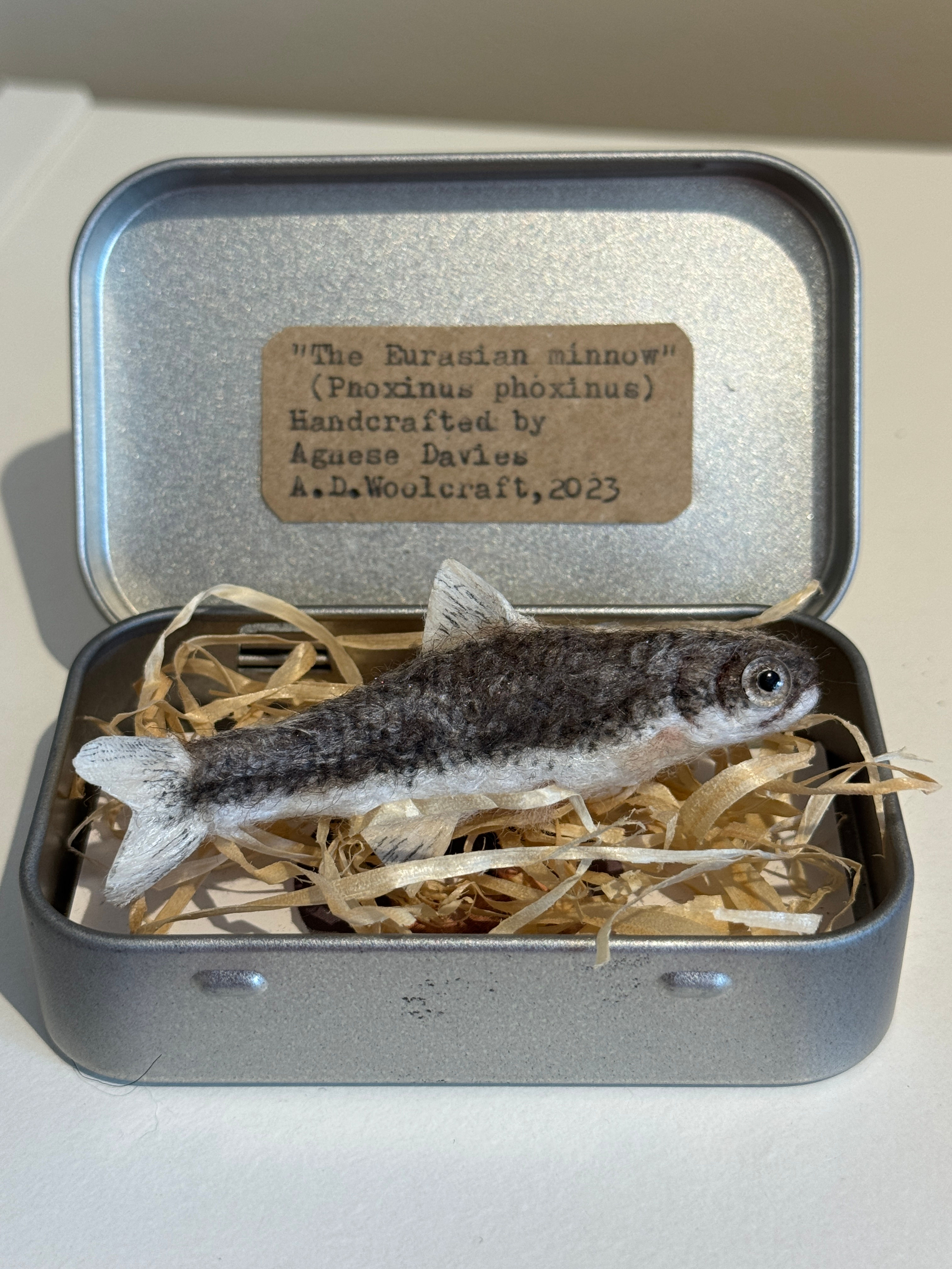 Fish in silver tin with sign on lid