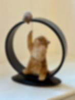 felted cat and mouse within a black circle sculpture