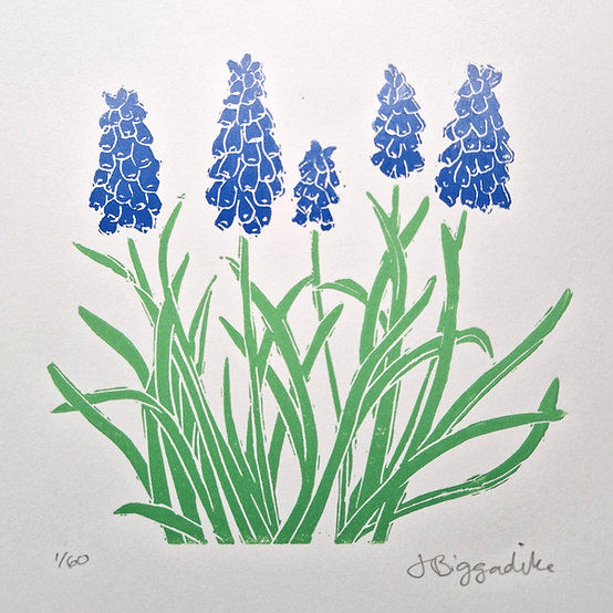 grape hyacinth print on white paper
