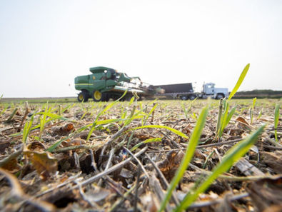 As regenerative agriculture takes root, let’s hold corporates accountable
