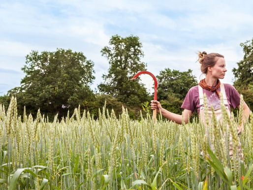 Getting Consumers Onboard with Regenerative Agriculture