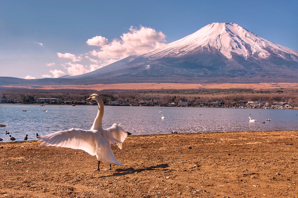 Monte Fuji por Marcel Kato