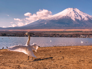Subida ao Monte Fuji: uma experiência inesquecível
