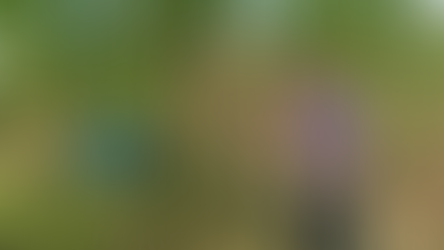 Fotografia horizontal de Leonardo Celestini sorrindo entre folhas de cana-de-açúcar em uma plantação ensolarada em Okinawa, Japão.