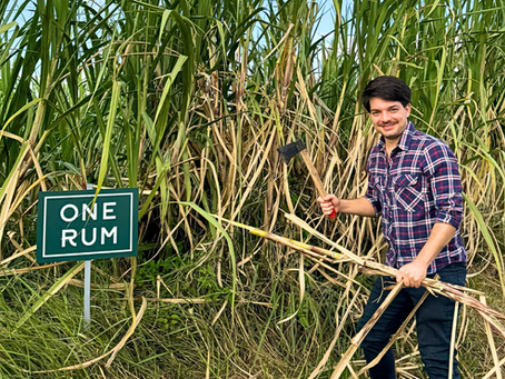 Fotografia horizontal de Leonardo Celestini sorrindo entre folhas de cana-de-açúcar em uma plantação ensolarada em Okinawa, Japão.