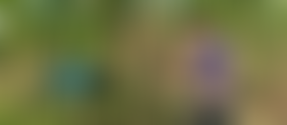 Fotografia horizontal de Leonardo Celestini sorrindo entre folhas de cana-de-açúcar em uma plantação ensolarada em Okinawa, Japão.