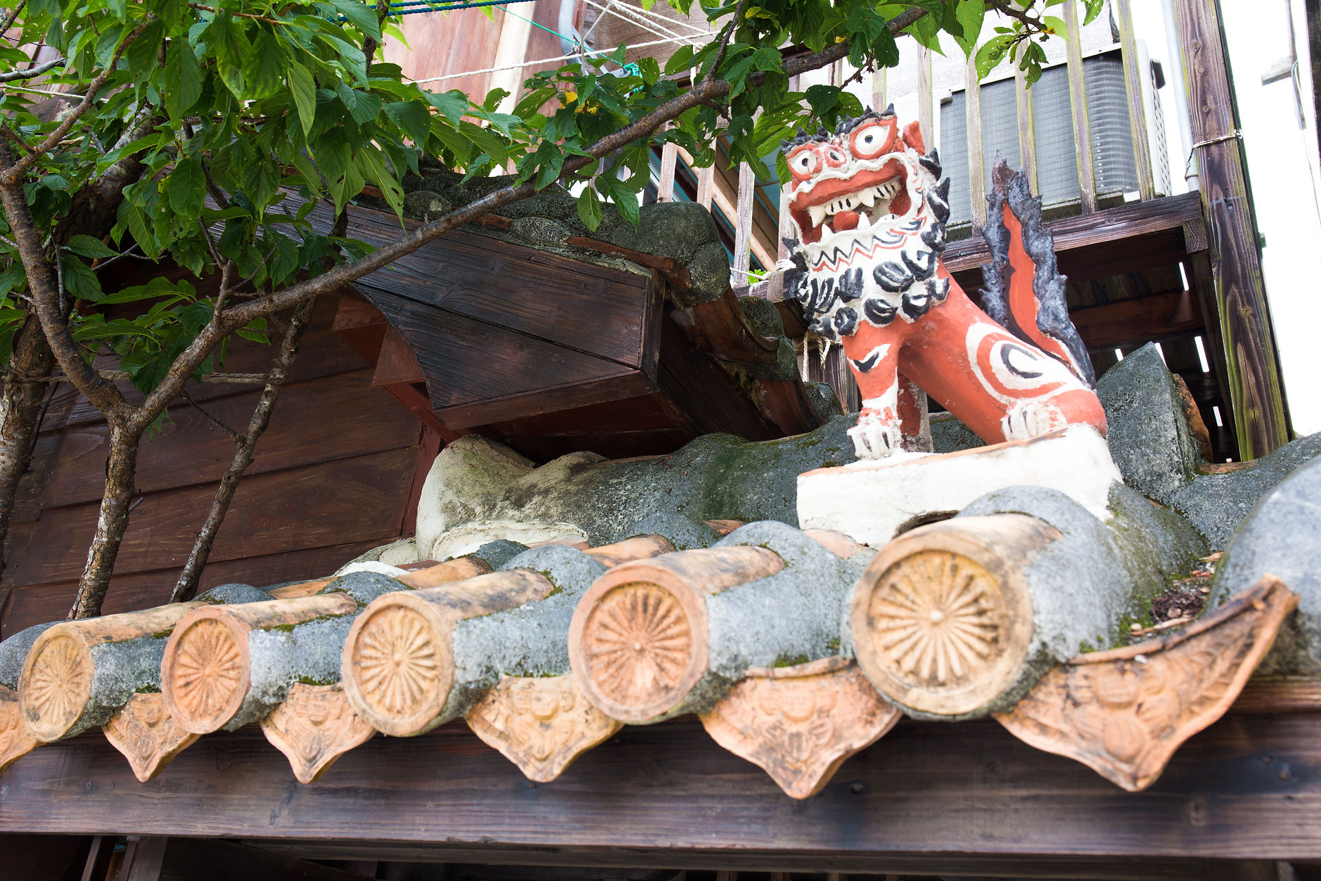 Shisa