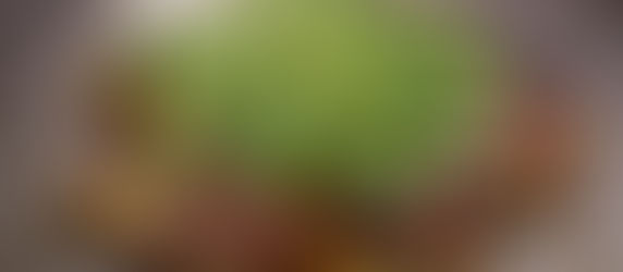 Tabe+: Panqueca à japonesa? Não. Mas pode chamar de okonomiyaki