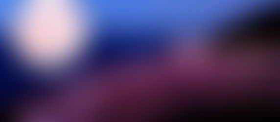 Campos de arroz que brilham