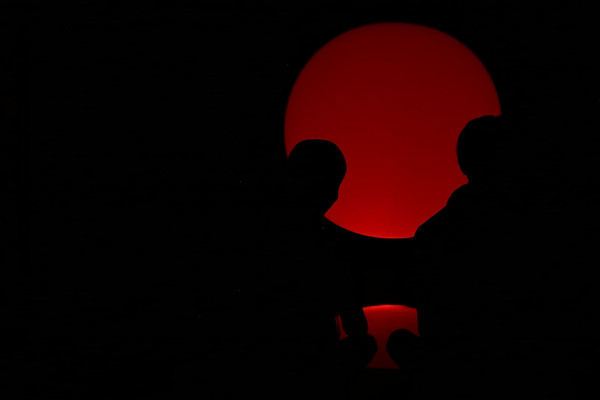 teamLab RobertoMaxwell.JPG