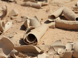 Will Councilors declare a Climate Emergency for Eurobodalla