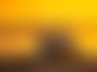 Real Garant werkt samen met Segway Powersports België