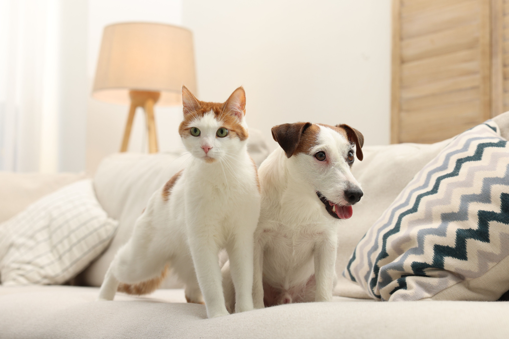 Charlotte Metro Pet Group, LLC - Image 1