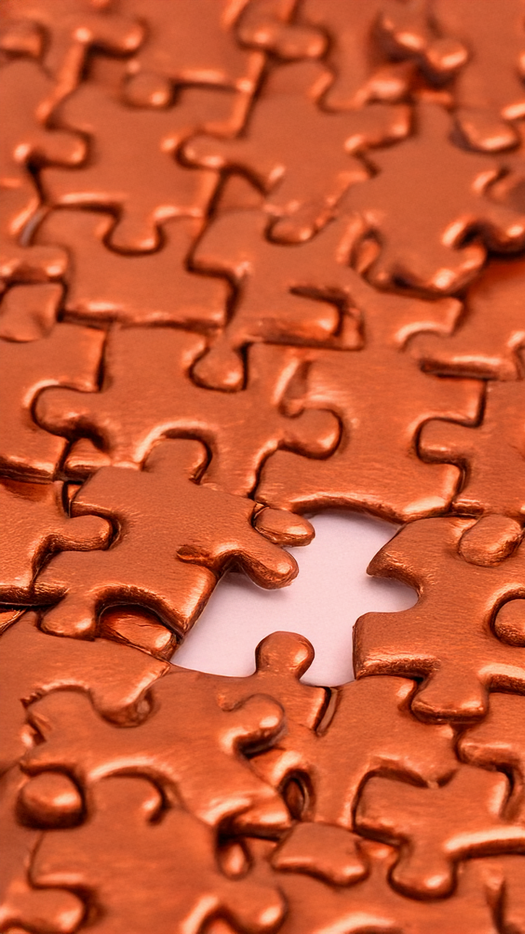 puzzle peice.png