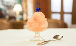 470032053_8767992373249227_6063784616592458562_n