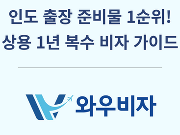 인도 출장 준비물 1순위! 상용 1년 복수 비자 가이드