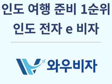 인도 여행 전자 비자, 거절 없이 발급받는 방법은?