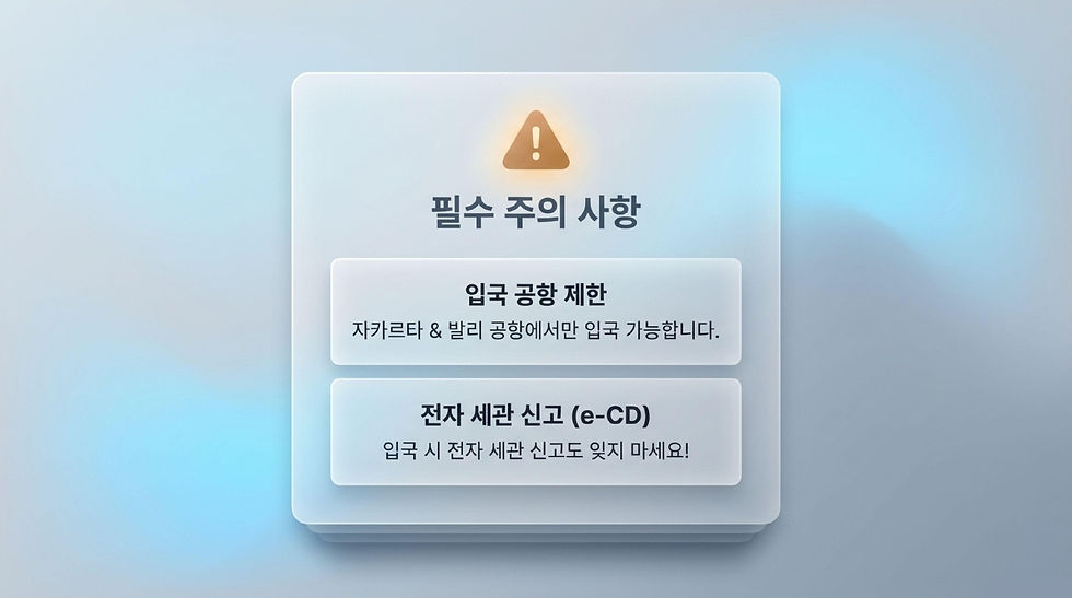 인도네시아 비자, 인도네시아 비자 신청, 인도네시아 비자 발급, 발리 비자, 발리 비자 신청, 발리 비자 발급, 발리 비자 대행, 와우비자