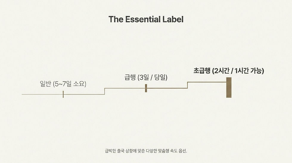 베트남 전자 비자, 베트남 비자, 베트남 비자 신청, 베트남 비자 발급, 베트남 비자 대행, 베트남 긴급 비자, 와우비자