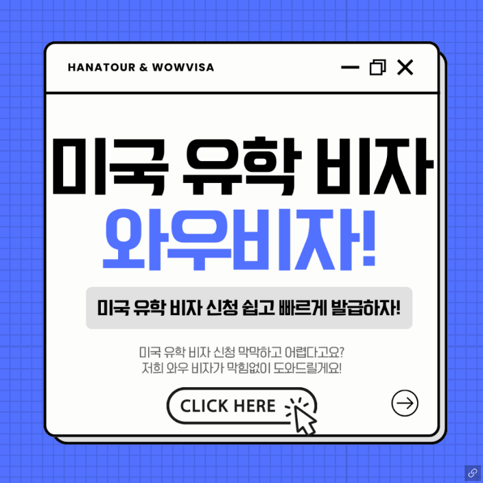 미국 유학 비자, 미국 유학, 미국 유학 준비, 미국F비자, 미국M비자, 와우비자