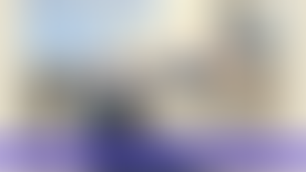 COLLECTION DE L'ART BRUT - LAUSANNE