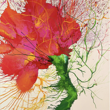 Cris Cavalcante - 3