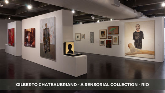 Gilberto Chateaubriand, A Sensorial Collection, Uma coleção Sensorial, Mam Rio