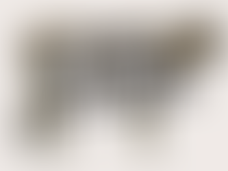 Bonny Bulletin - June 2025