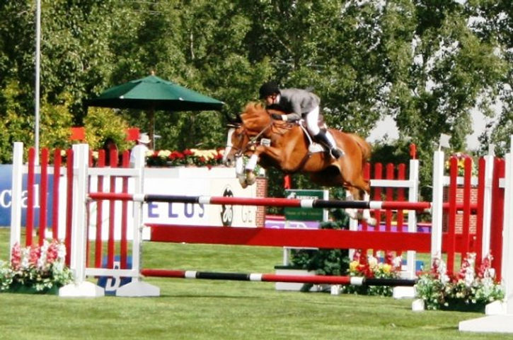 Devan Rudge Devon Ridge Farm | Equestrian Facility | 51108 Range Rd 272, Spruce ...