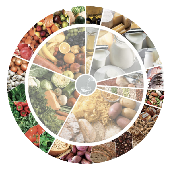 roda_dos_alimentos-removebg-preview.png