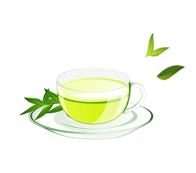 A_Cup_Of_Green_Tea__Cup_Clipart__Cup__Green_Tea_PNG_Transparent_Clipart_Image_and_PSD_File