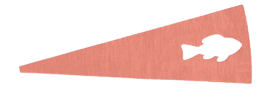 grupo_das_carnes_pescado_e_ovos-removebg-preview.png