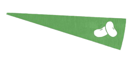 grupo_das_leguminosas-removebg-preview.png