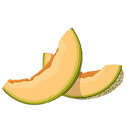 Cantaloupe_Vector_Images__over_2_700__-_Page_6-removebg-preview.png