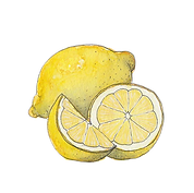 JULIA_NASCIMENTO-removebg-preview.png