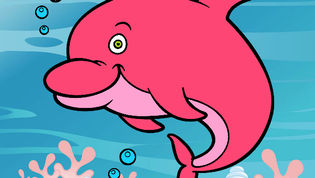 20 DE AGOSTO: atividades Maternal