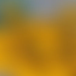 Textura da Terra