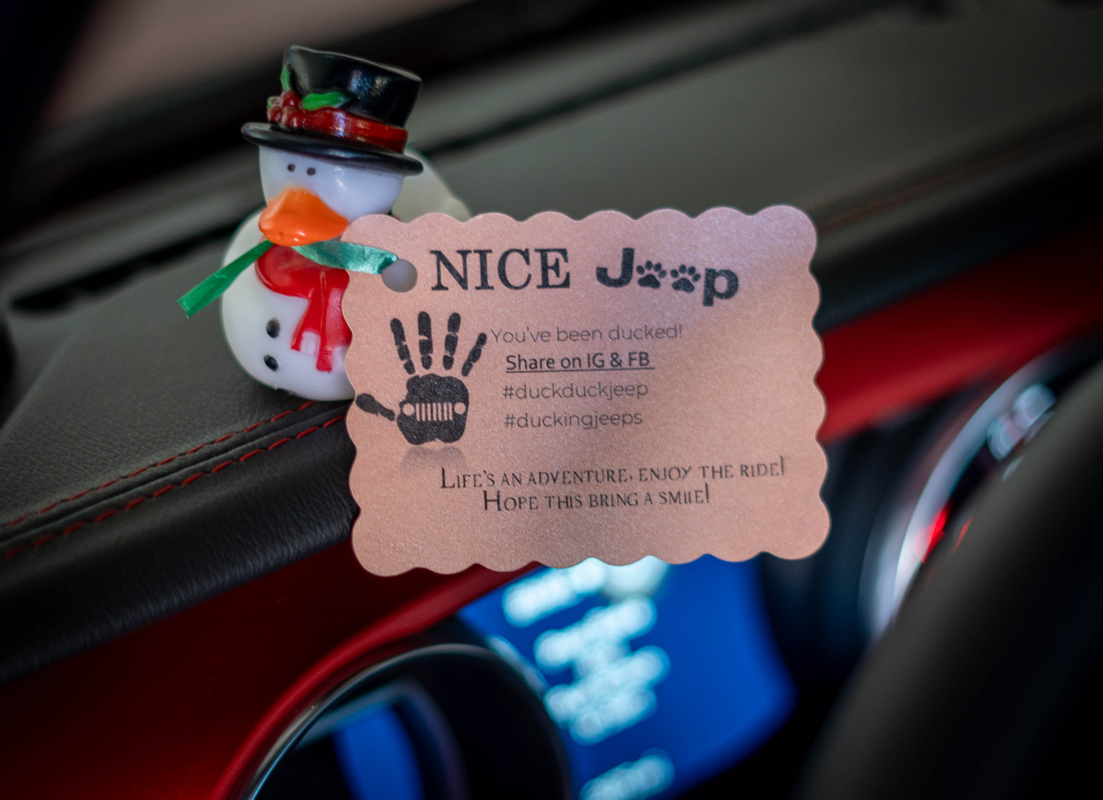 Shimmer Jeep Duck Tag