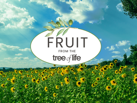 Monday:  A CALL FROM WISDOM    