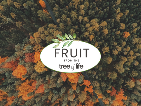 THURSDAY: IT’S FREEDOM IN JESUS DAY 