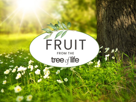 Friday: WISDOM FROM HEAVEN  