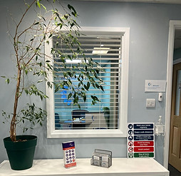 front window.jpg